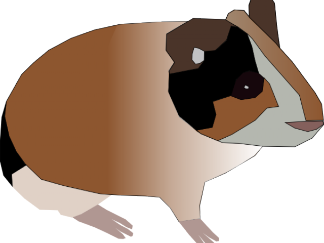 Guinea Pig Clipart Brown - Guinea Pig (640x480), Png Download