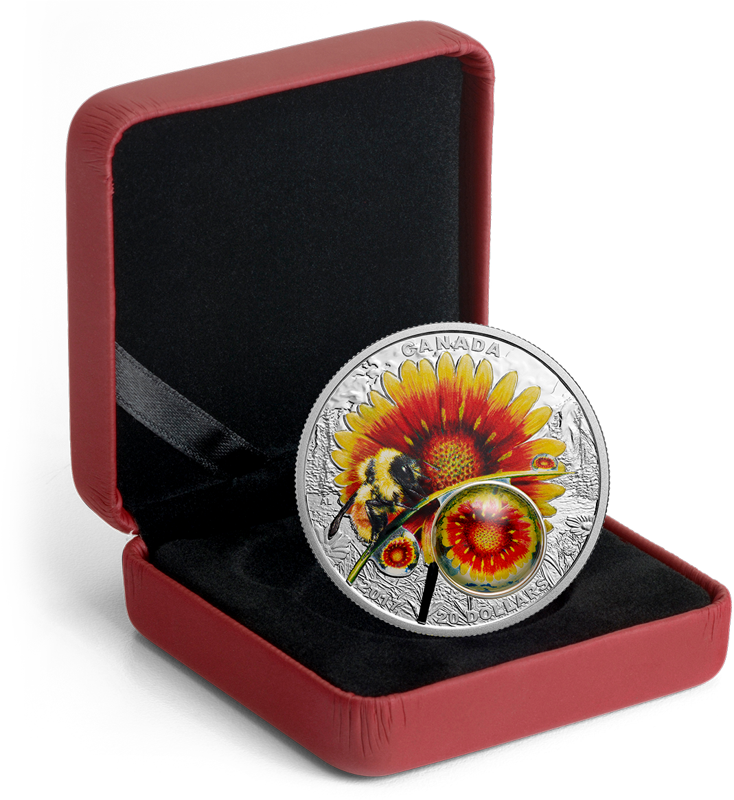 Tomei X Royal Canadian Mint Silver 9999 "2017 Mother - 1 Oz Fine Silver Coin Red Trillium S 2014 (1198x1166), Png Download