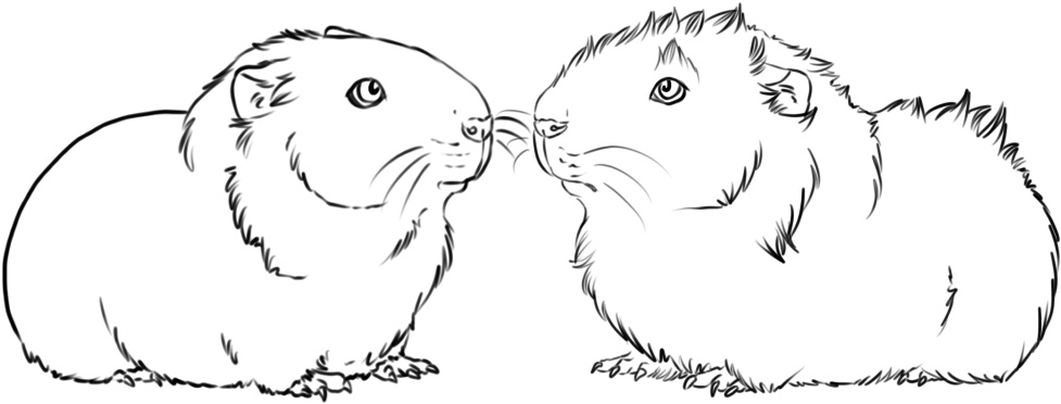 Rodent (1000x800), Png Download