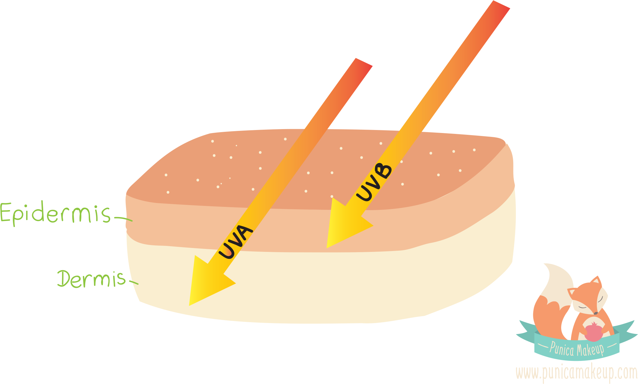 Clip Things You Must Know Before Wearing - Fast Food (2400x1600), Png Download