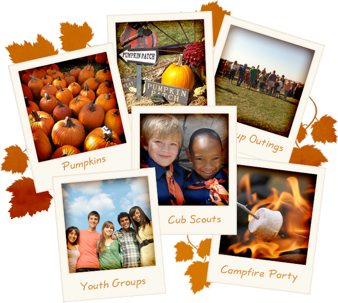 Group Outings - Pumpkin (682x633), Png Download