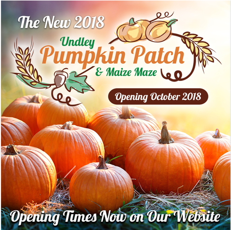 ‹ › × - Pumpkin (828x448), Png Download