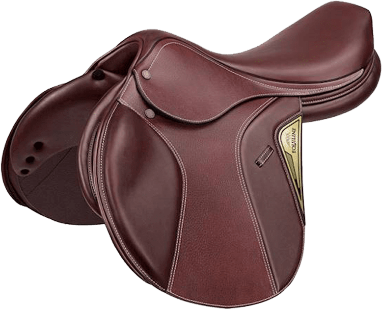 Jumping Saddle Marghe By Equiline - Sella Da Salto (800x800), Png Download