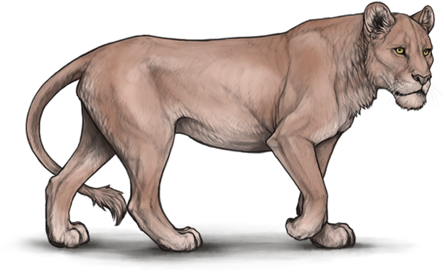 Qcqvowc - Parhelion Body Lioden (640x500), Png Download