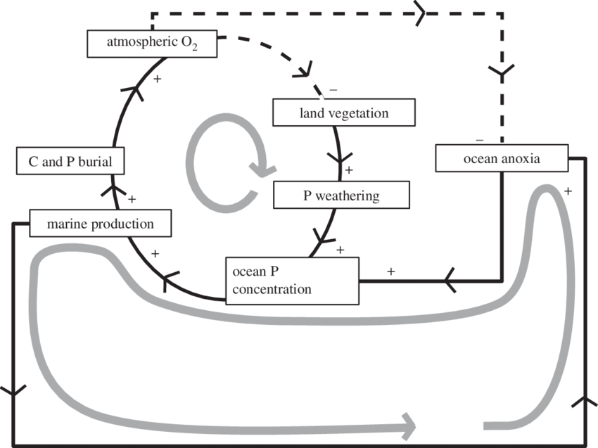 Direct Relations Are Shown By Solid Lines With A Plus - Diagram (850x637), Png Download