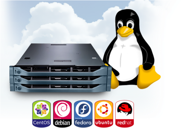 Linux Hosting Clipart Hosting Png - Vps Linux (640x480), Png Download
