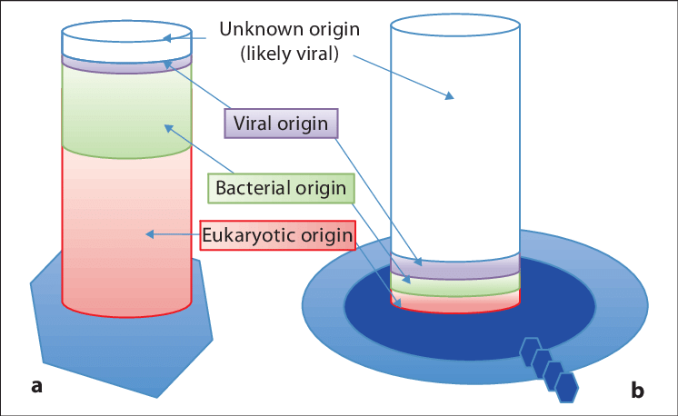 Two Visions Of The Same Virus - Diagram (746x458), Png Download