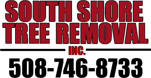 South Shore Removal Inc Logo - Poster (734x445), Png Download