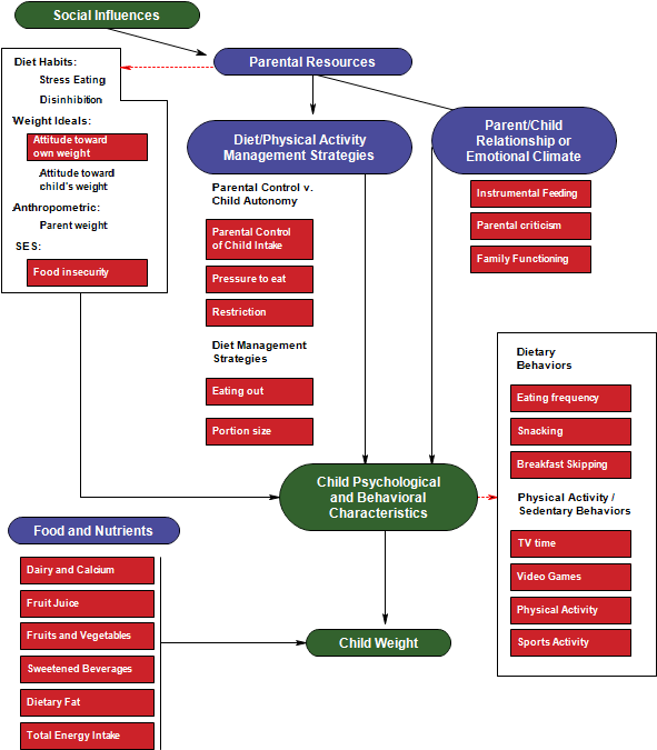 Prevención Y Tratamiento De La Obesidad Infantil - Ejemplo Metodo Ancla En Salud (613x691), Png Download