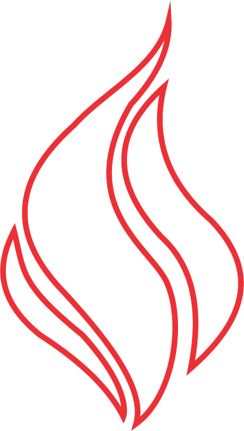 Login - Fogo (492x870), Png Download