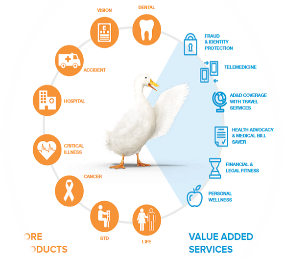 Aflac Today Dfw - Goose (582x528), Png Download