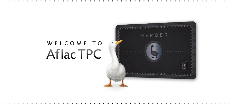 Contact - Duck (1059x481), Png Download