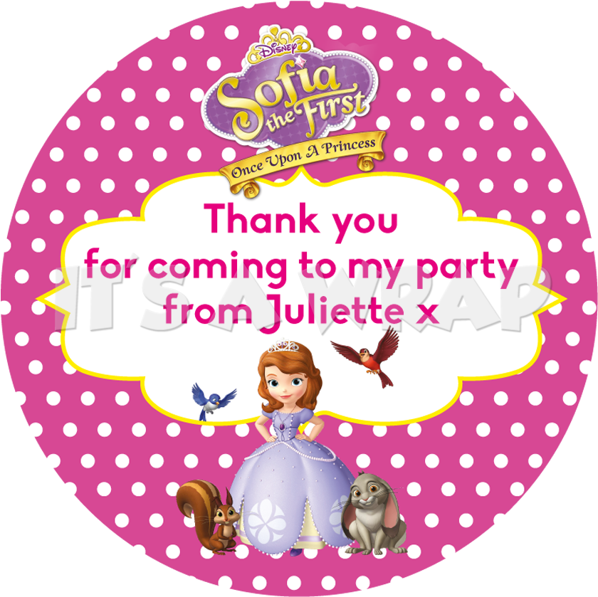 Sofia The First Sweet Cone Stickers - Adesivo Cat Noir (870x870), Png Download