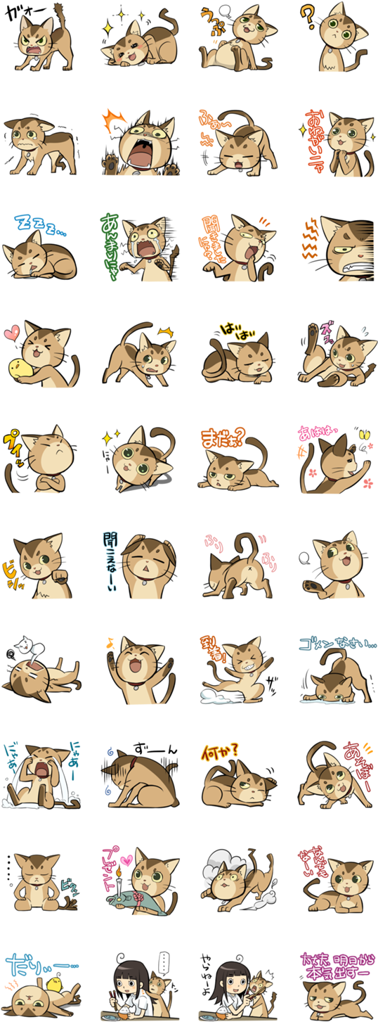 Cat Expression Doodles, Mortimer Reference - Bearded Dragon Drawing Cute (562x1500), Png Download