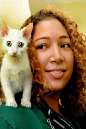 Doctor Christina East At Riverside Animal Hospital - Kitten (1000x594), Png Download