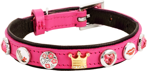 Diva - Buckle (600x600), Png Download