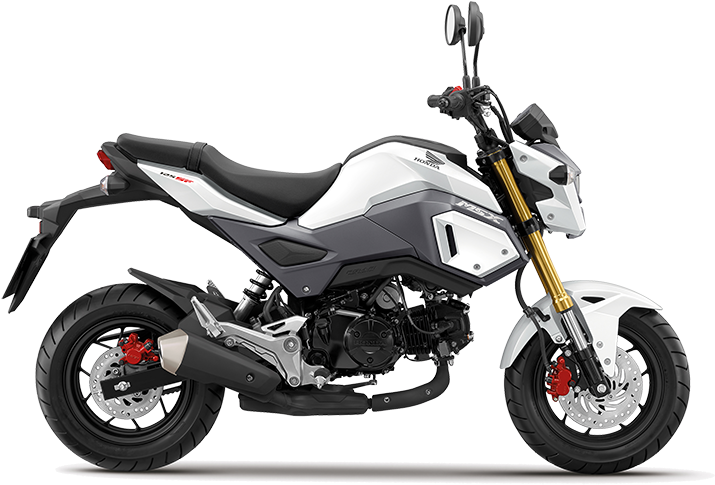Honda Msx125 - 2018 Honda Grom Price (800x600), Png Download