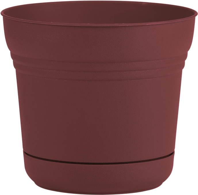 Plastic Bottle Ka Flower Pot Flowers Healthy Saturn - Flowerpot (800x800), Png Download