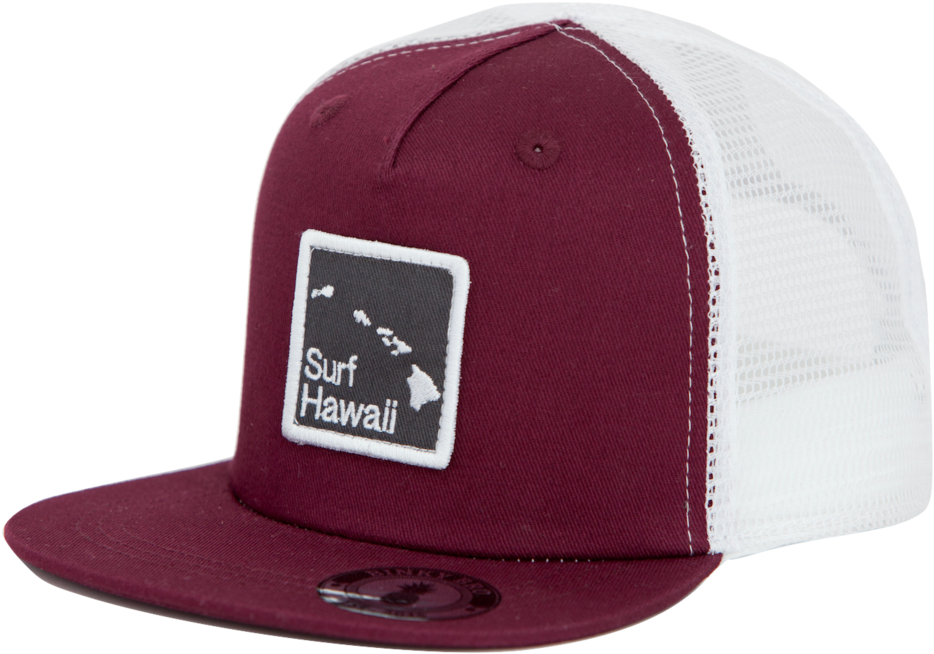 Taj - Binkybro - Baseball Cap (1024x716), Png Download