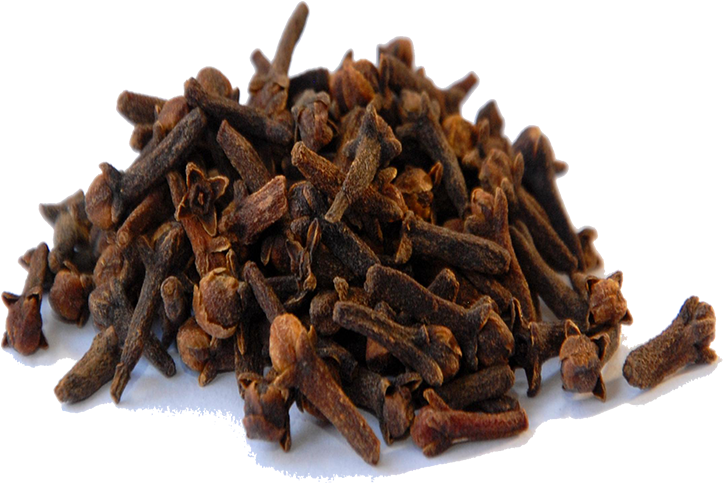Clove - ดอก กานพลู (800x800), Png Download