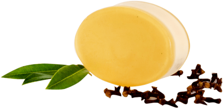 Clove Myrtle Body Bar - Dairy (800x800), Png Download