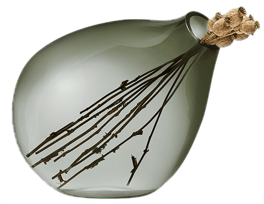 Living - Vegetable (540x660), Png Download