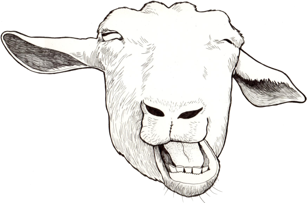 Funny Goat - Sketch (1000x664), Png Download