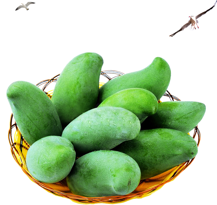 Download Mango Png Image & Mango Clipart Green Mango Mango Png Transparent PNG Download