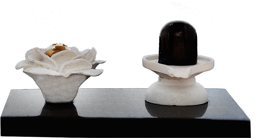 Ay485 Ay485 - Coffee Table (1500x1500), Png Download