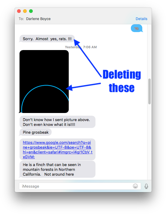Deleting Part Of A Messages Conversation - Charlie Chaplin The Kid (568x727), Png Download