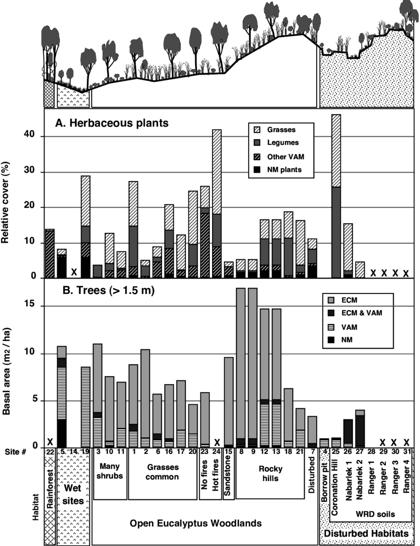 Herbaceous Vegetation Cover And Tree Basal Area (b) - Diagram (850x1103), Png Download