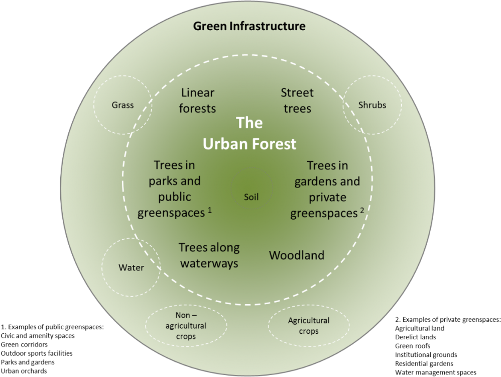 Illustration Of Our Definition Of The Urban Forest - Urban Forests Benefits (1024x757), Png Download