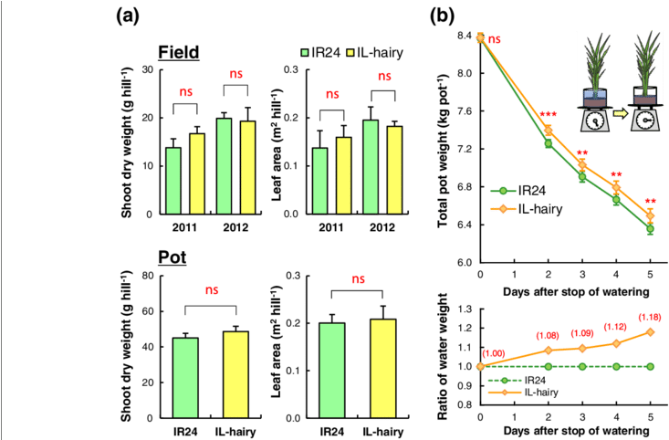 Shoot Dry Weigh, Leaf Area, And Water Uptake Traits - Diagram (850x481), Png Download