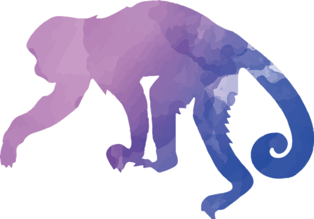 Monkey Sticker - Outline A Capuchin Monkey (1024x715), Png Download