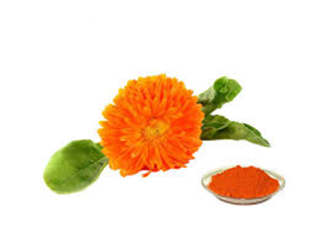 Natural Marigold Flower Powder, Natural Marigold Flower - English Marigold (640x640), Png Download