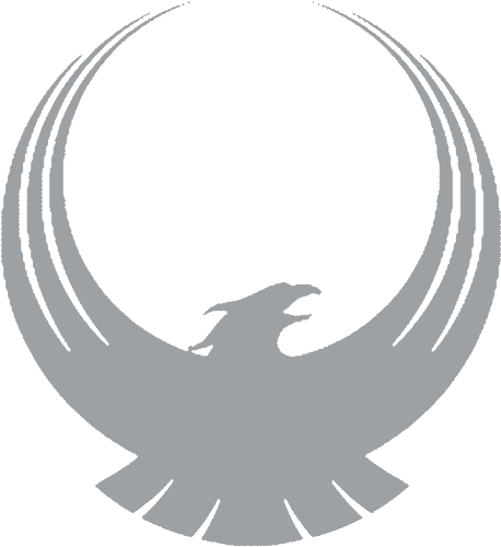 Accipitridae (558x566), Png Download