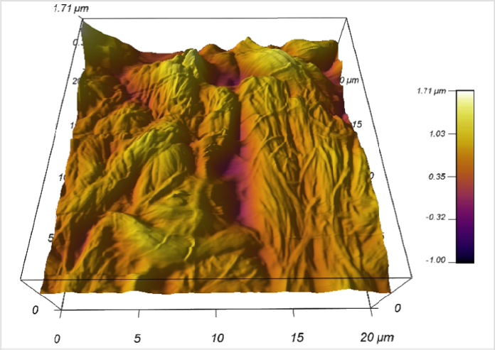 3d Reconstruction Of Afm Image On Non-tattoo Portion - Illustration (696x493), Png Download