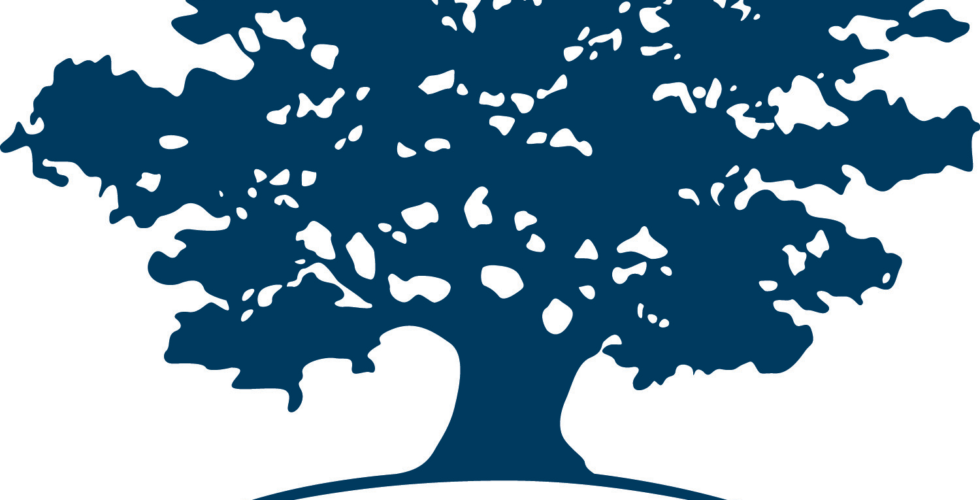 Logo Ashoka - Ashoka Logo Png (980x500), Png Download