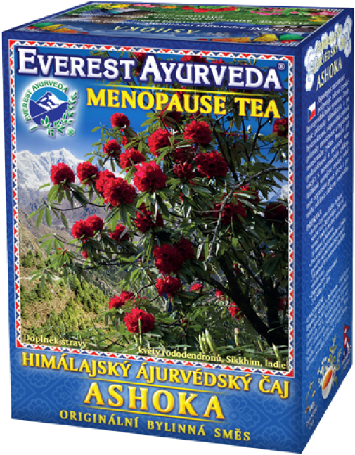 Ashoka - Ayurveda (800x800), Png Download