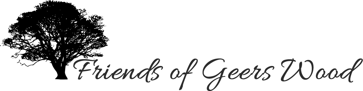 We Are A Community That Has Come Together To Preserve - Calligraphy (1233x309), Png Download