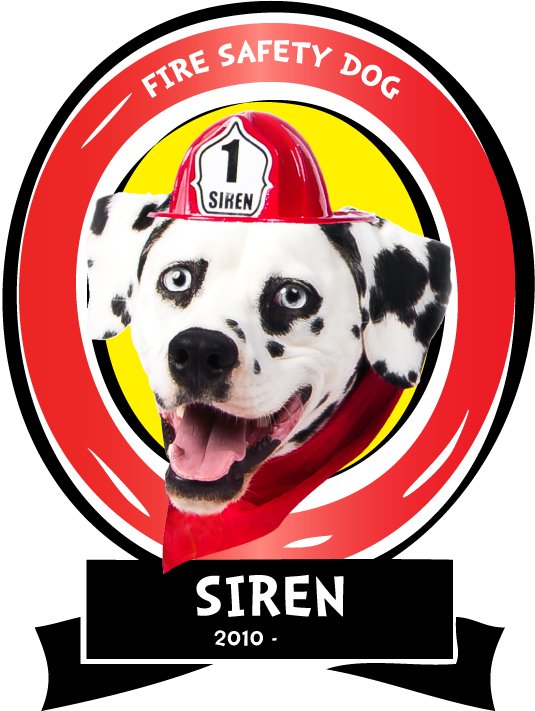 Siren The Fire Safety Dog Born In 2010 With A Crooked - Dalmatian (535x711), Png Download