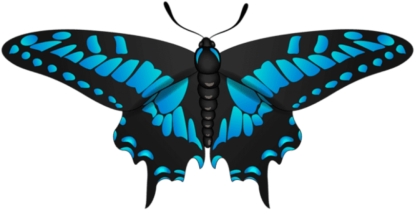 Free Png Butterfly Blue Black Png Images Transparent - Papilio (850x433), Png Download