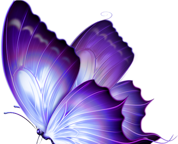 Butterfly Design Clipart Colorful Flying Butterfly - Butterfly Pics Png (640x480), Png Download