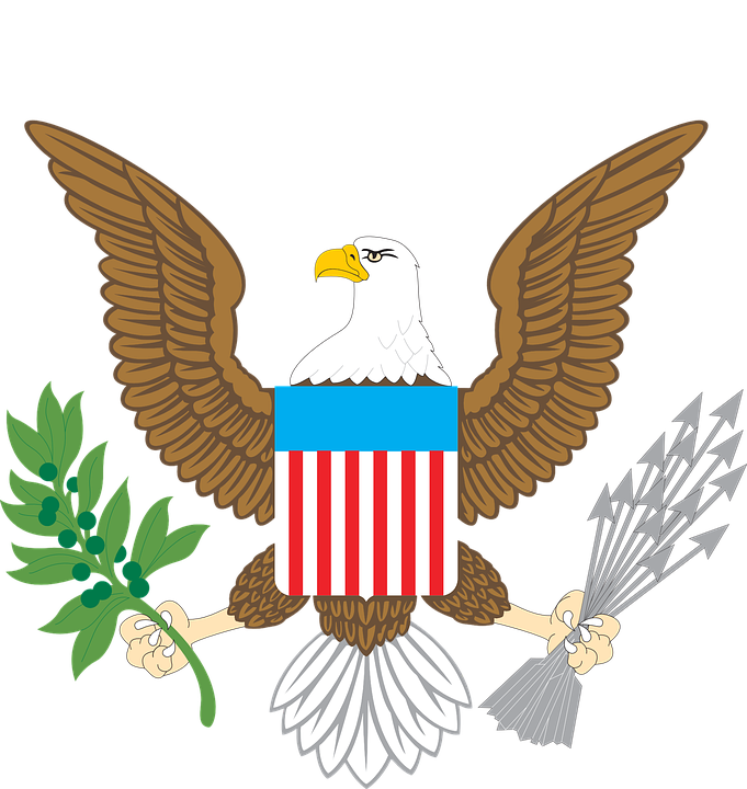 American Emblem Free Vector Graphic On Pixabay - American Bald Eagle Clip Art (681x720), Png Download