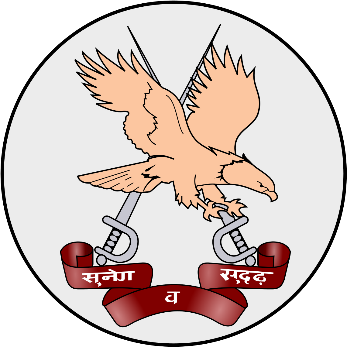Army Aviation Corps - Indian Army Aviation Logo (1200x1200), Png Download