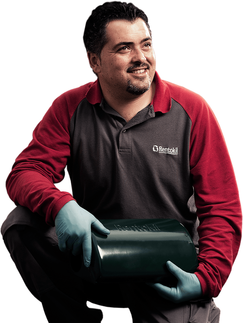 Giving The Pest Management Giant A Digital Strategy - Sitting (1200x1200), Png Download