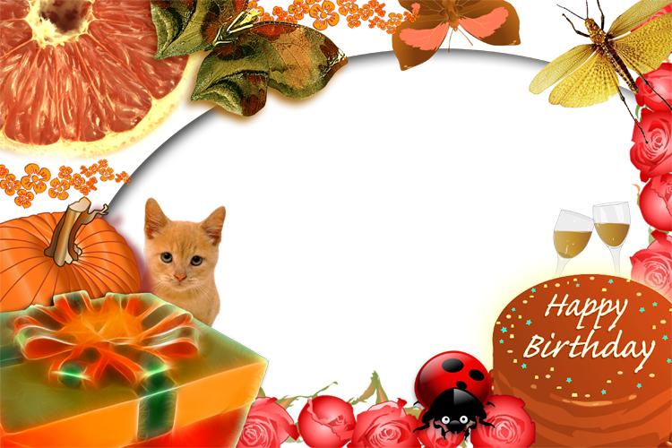 After Uploading The Picture Editor Free To Choose More - Protea (750x500), Png Download