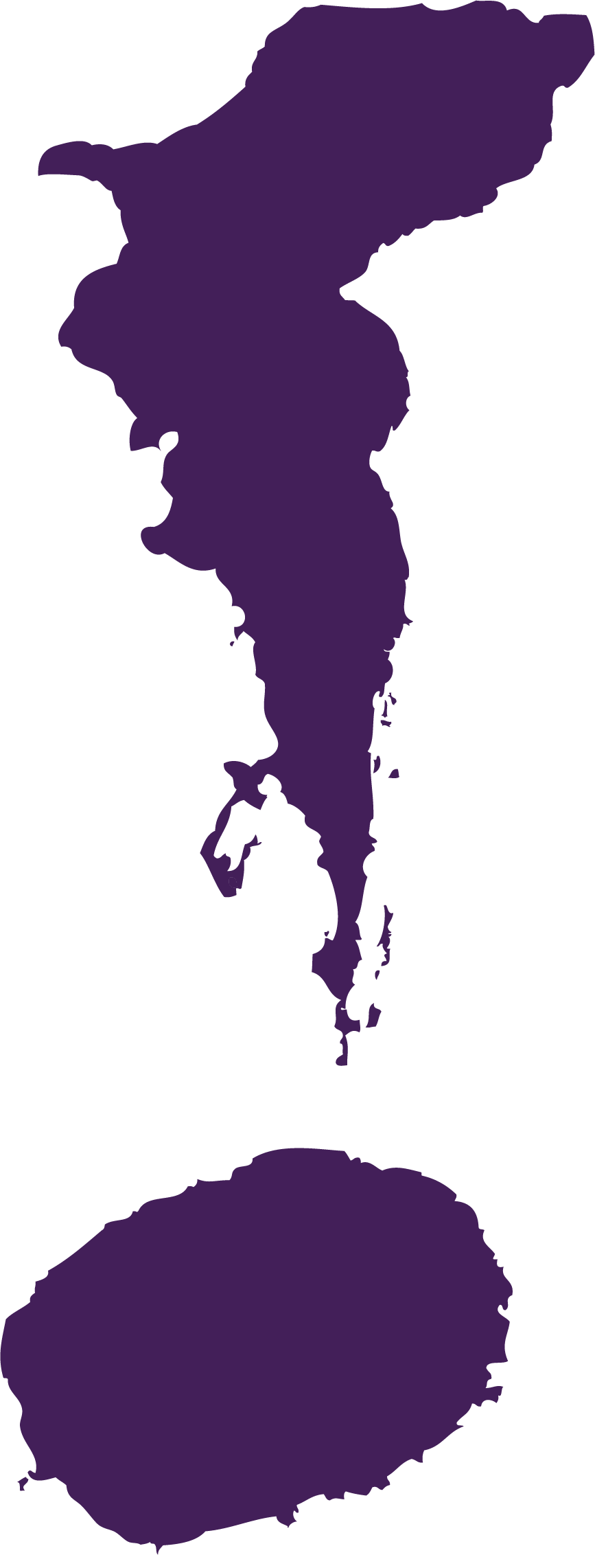 Contemporary Youth Orchestra (867x2264), Png Download