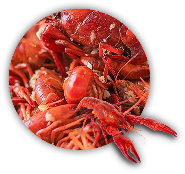 Seafood - Crayfish (681x724), Png Download