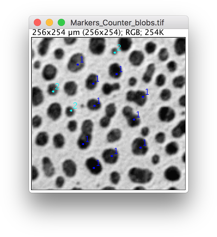 Screen Shot 2018 11 06 At - Imagej Save Line Profile (756x816), Png Download